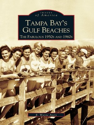 cover image of Tampa Bay's Gulf Beaches